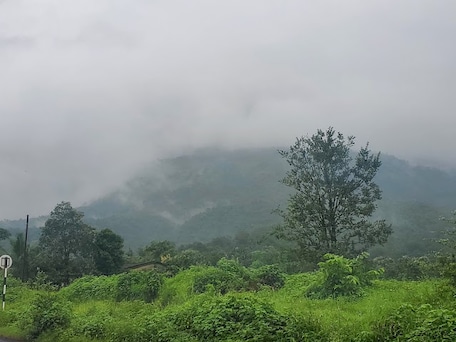 Malshej Ghat
